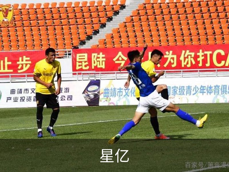 星亿简介